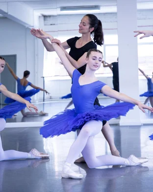 United European Ballet Company Mobile
